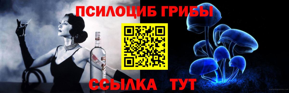Северск  Псилоцибиновые грибы Magic Shrooms  Вход с VPN 